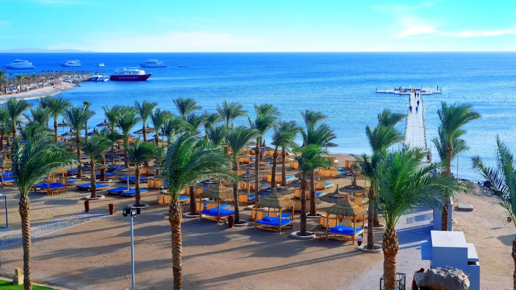 الفندق الباتروس بالاس ريزورت - الغردقة